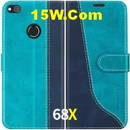 Login Seguro 68X